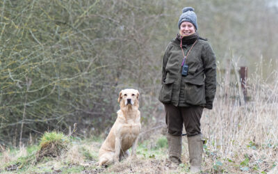 A photo of a working dog