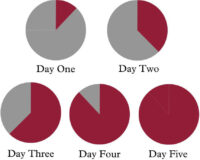 This diagram gives an idea of swapping from the dogs current ration (grey) to Masters (red) over the course of 5 days.