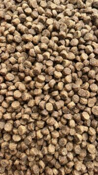 A photo of a bag of Masters Puppy & Junior